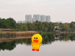 -武汉园博园(武汉自然博物馆)