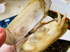 -港畔赶海蒸汽海鲜烧烤自助(仙螺岛店)