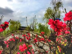 -南汇桃花村