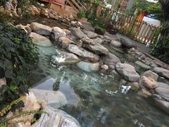-映月潭温泉