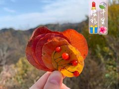 -少华山国家森林公园