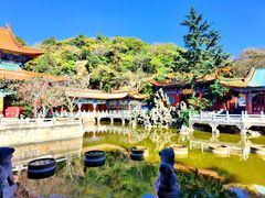 -圆通禅寺