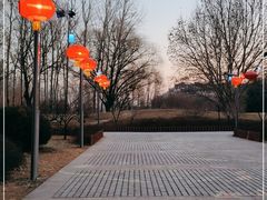 -仁和公园(顺义区)