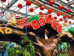 -南宫五洲植物乐园