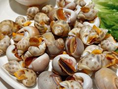 螺拼-小厨师·二十年沈家门小海鲜(百井坊巷店)