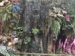-正佳雨林生态植物园
