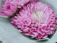 -小苍兰风铃草蛋糕甜品(沈阳店)