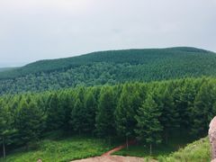 -塞罕坝国家级自然保护区