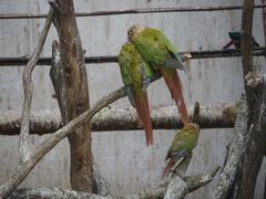 -昆明动物园