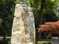 -灵谷景区
