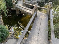 -秋霞圃
