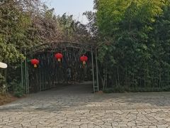 -苏州太湖国家湿地公园