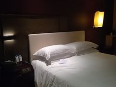 -深圳湾木棉花酒店