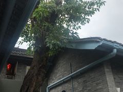-三联韬奋书店(宽窄巷子店)