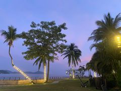 -JW万豪厨房餐厅·滨海草坪烧烤·海鲜·海景(三亚绿发山海天JW万豪酒店)