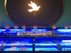 水产区-鸽子侯·家宴·平价海鲜(市图书馆店)