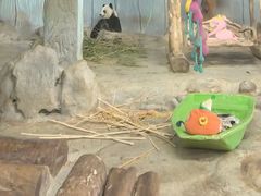 -海南热带野生动植物园