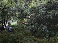 -中国茶叶博物馆(双峰馆区)