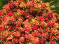 -加太贺日式和风料理