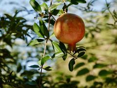 -东山风景区(洞庭东山)