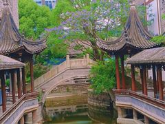 -龙潭水乡