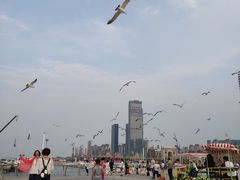 -东港音乐喷泉广场