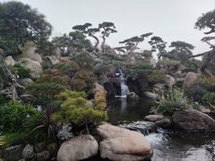 -罗红摄影艺术馆