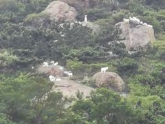 -灵山岛风景区