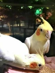 -酷嗒动物文化乐园(cutezoo西溪乐天城店)