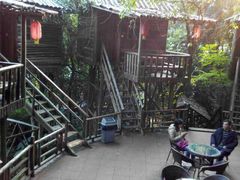 -天门沟九州驿站树上汤泉