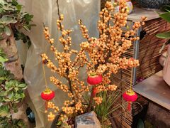 -双季花艺园艺市场(浦东店)