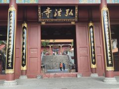 -深圳仙湖植物园