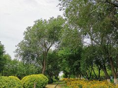 -永定河休闲森林公园