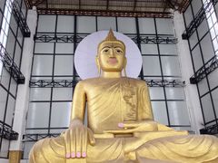 -瑞丽独树成林风景区