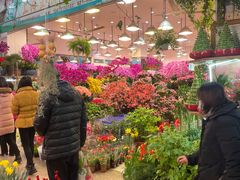 -双季花艺园艺市场(浦东店)