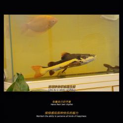 -FUMEIHUI·科技美肤·美体SPA