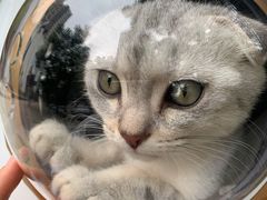 -佳怡动物医院·平价24小时·猫专科骨外科