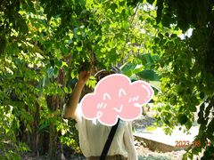 -下渚湖国家湿地公园科普馆