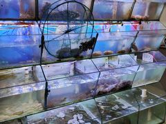 -星奇缘·海鲜餐厅(东山美食地标店)