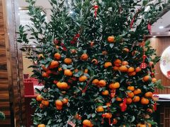 -海晖酒楼·顺德鱼生(荣华店)