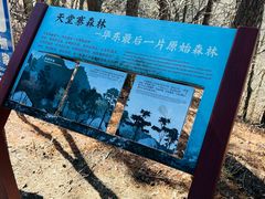 -安徽天堂寨风景区