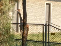 -石家庄市动物园