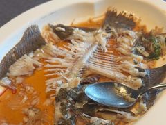 -百富源·海鲜辽菜(张士店)
