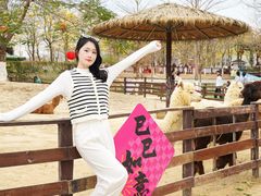 -盈香心动乐园