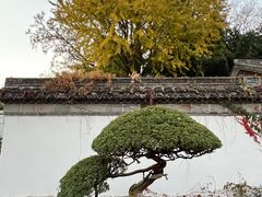 -水绘园
