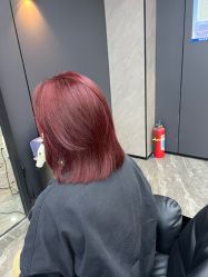 -藤野造型