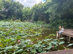 -福建鲤鱼洲酒店