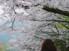 -杭州少年儿童公园