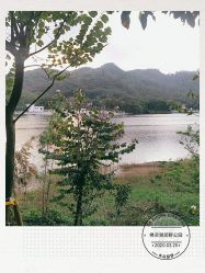 点击看大图 -佛灵湖水上乐园