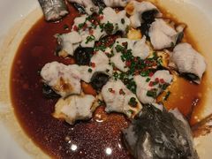-鸽子侯·家宴·平价海鲜(绿地店)